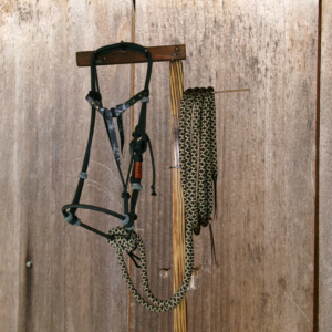 Loping Hackamore