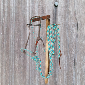 Loping Hackamore